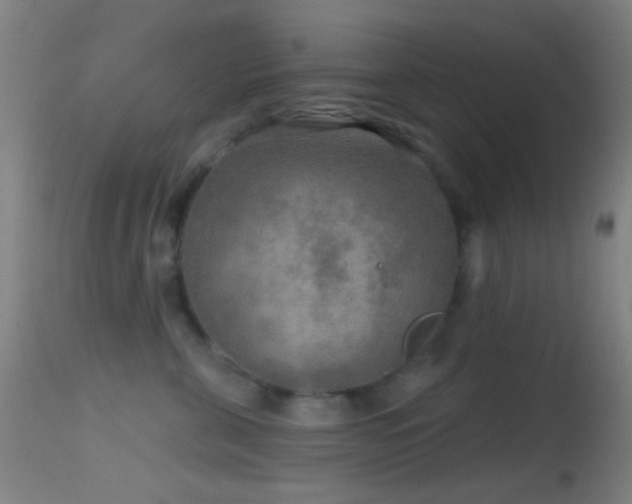 X0000114650571200910201511