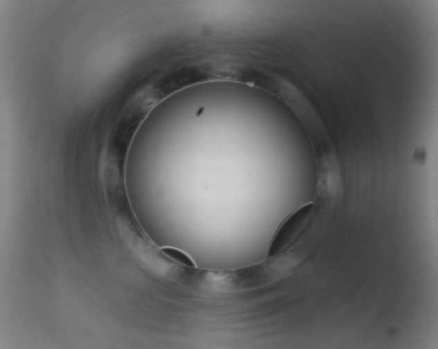 X0000114650573200910201511