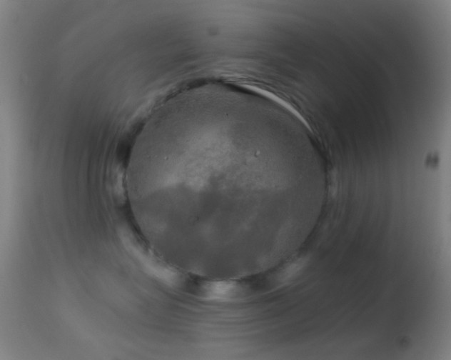 X0000114650575200910201511