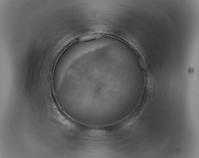 X0000114650577200910201510