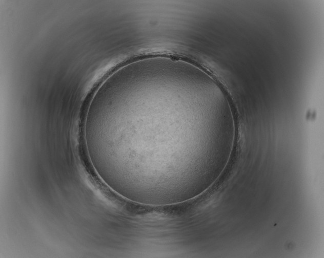 X0000114650578200910201510