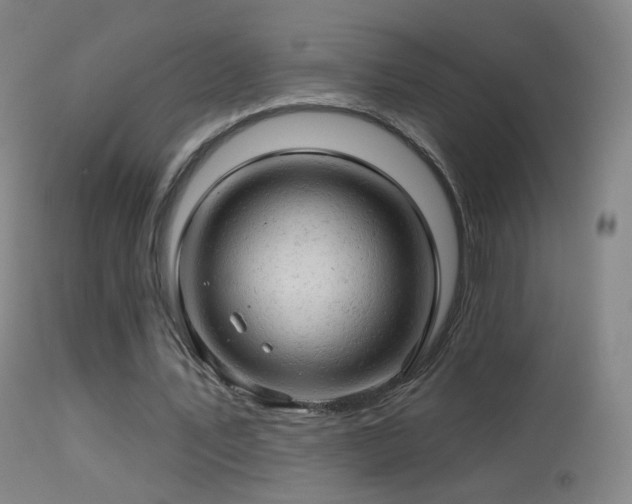 X0000114650579200910201510