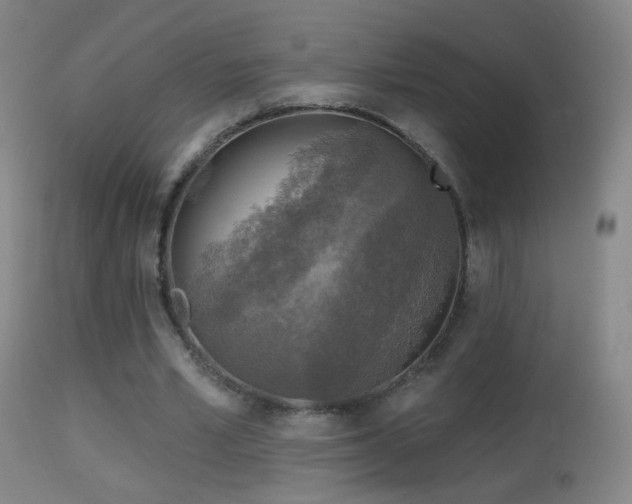 X0000114650581200910201510