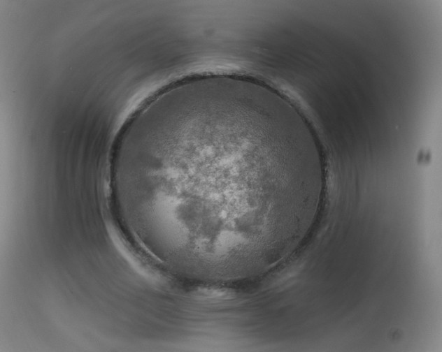 X0000114650582200910201510