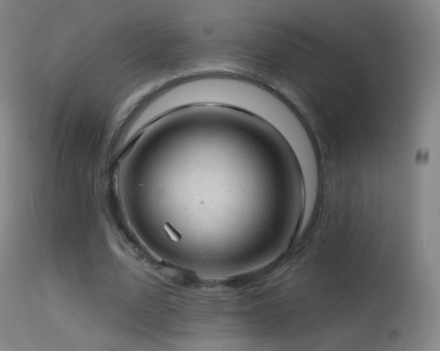 X0000114650583200910201510