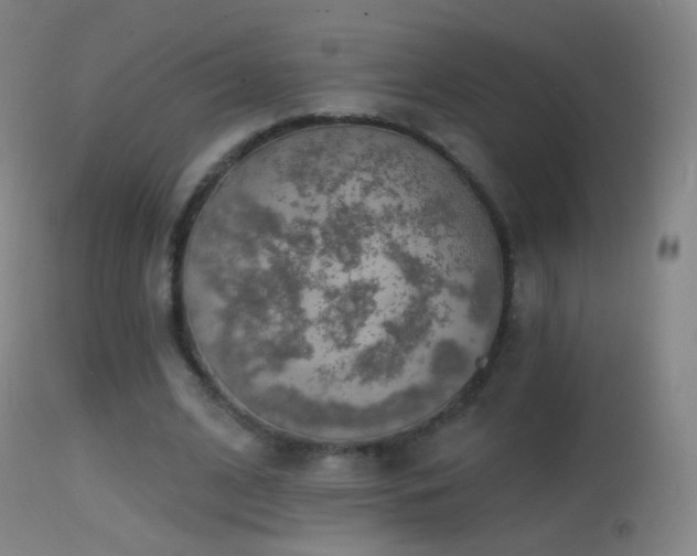 X0000114650584200910201510