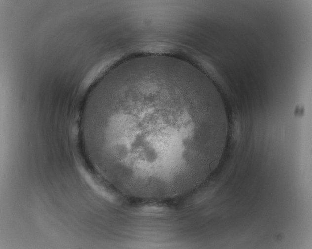 X0000114650586200910201510