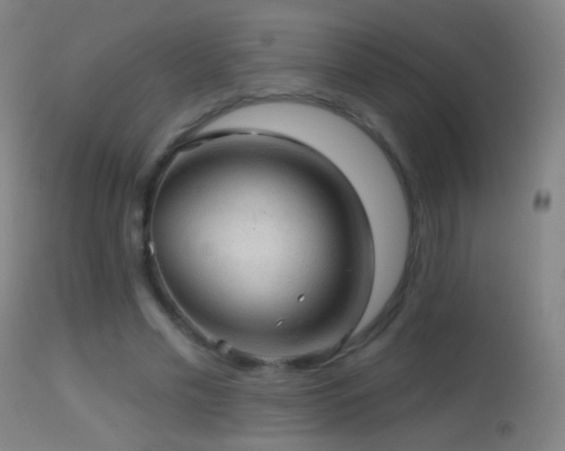 X0000114650589200910201510