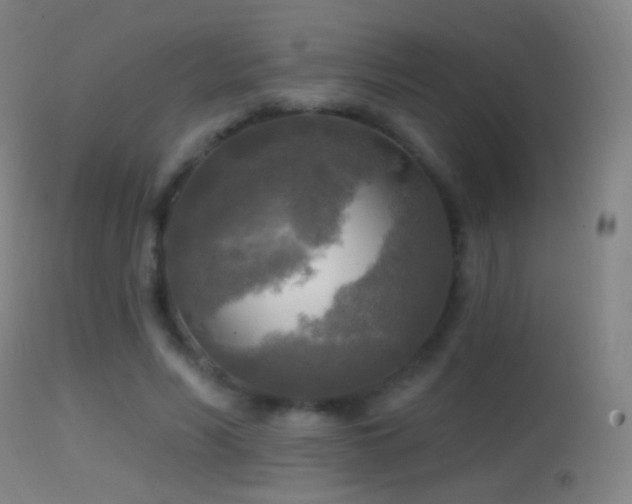 X0000114650590200910201510