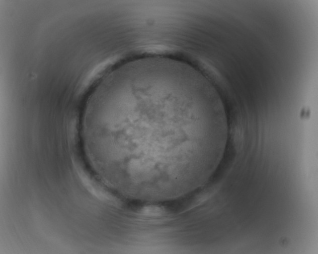 X0000114650591200910201510