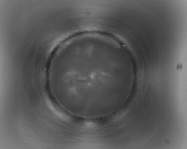 X0000114650592200910201510