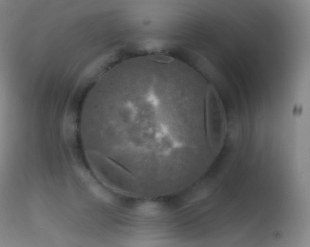 X0000114650593200910201510