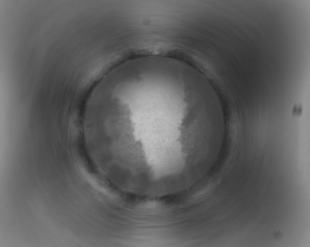 X0000114650594200910201510