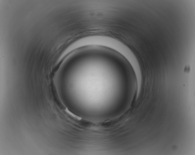 X0000114650595200910201510