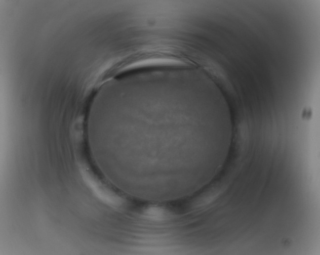 X0000114650596200910201510