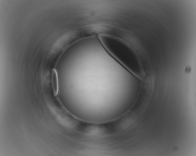 X0000114650597200910201510