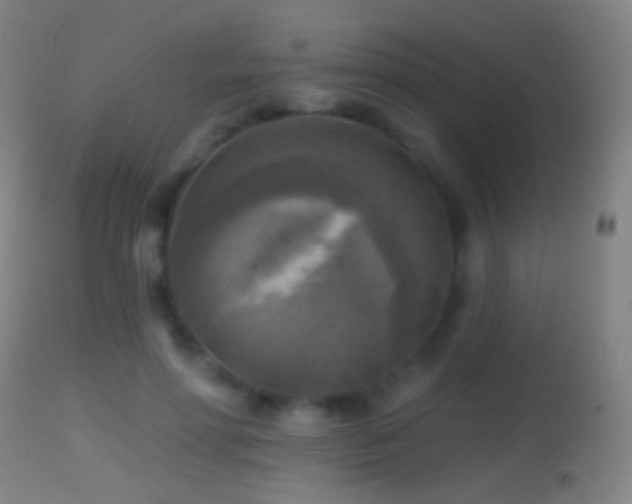 X0000114650598200910201510