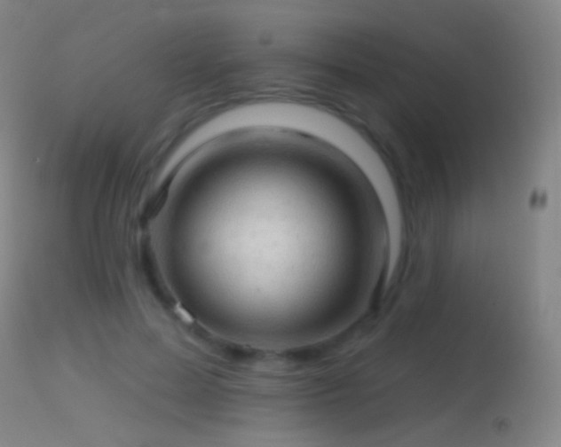 X0000114650599200910201510