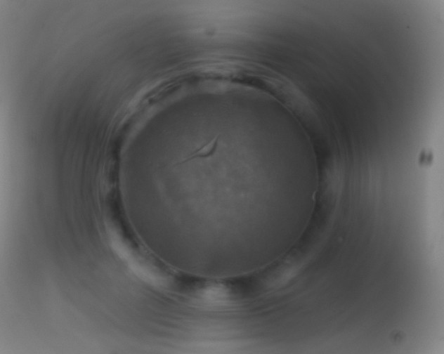 X0000114650600200910201510