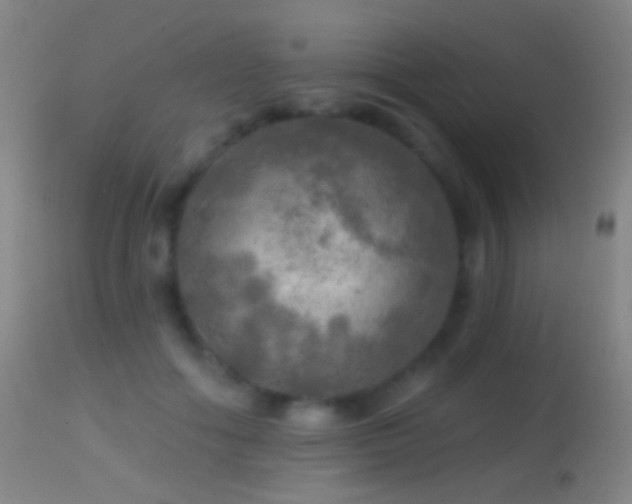 X0000114650602200910201510