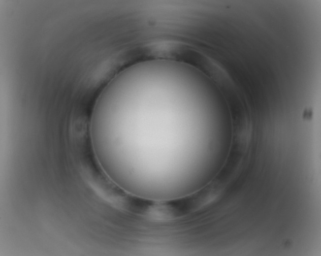 X0000114650603200910201510