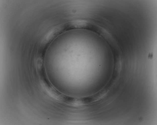 X0000114650604200910201510