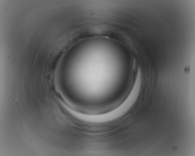 X0000114650605200910201510