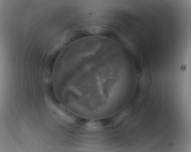 X0000114650606200910201510