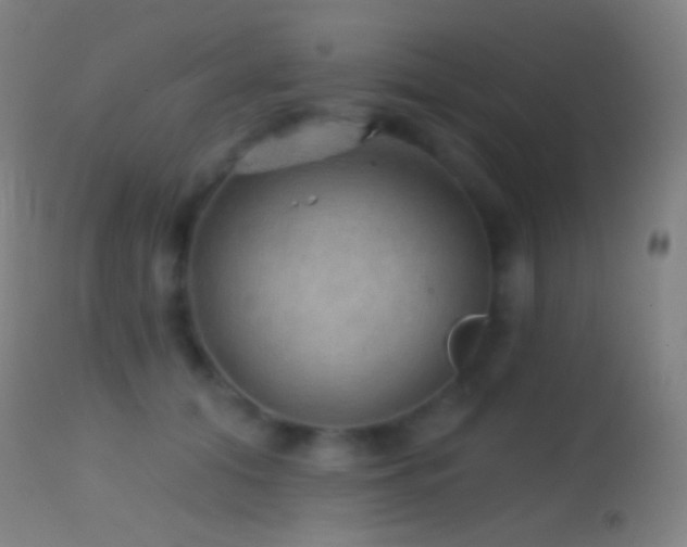 X0000114650608200910201510