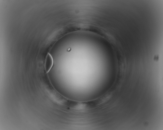 X0000114650609200910201510