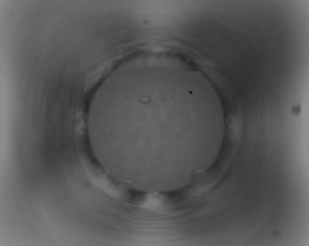 X0000114650612200910201510