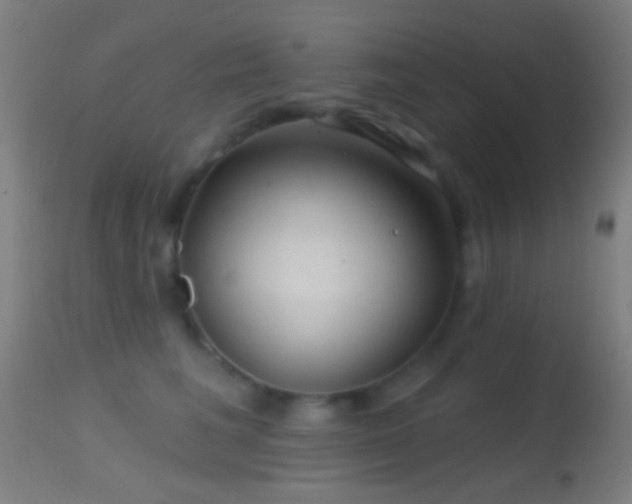 X0000114650613200910201510