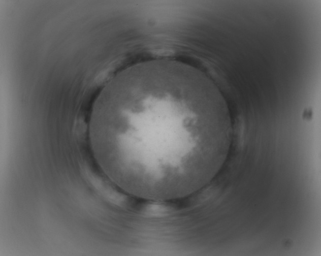 X0000114650614200910201510