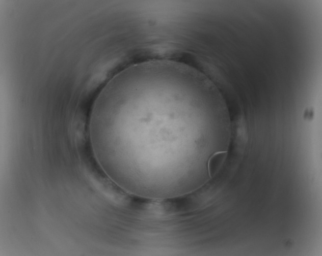 X0000114650615200910201510