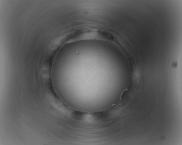 X0000114650616200910201510