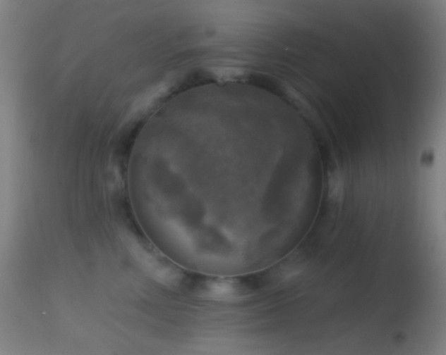 X0000114650618200910201510