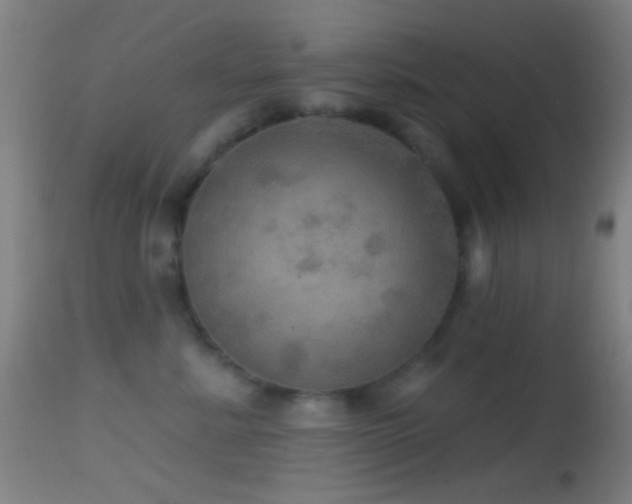 X0000114650619200910201510