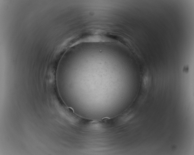 X0000114650620200910201510