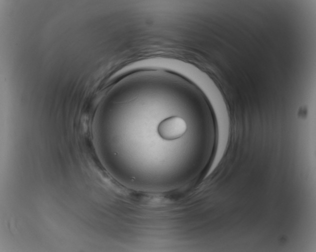 X0000114650621200910201510