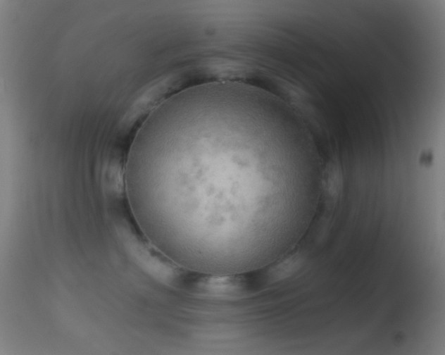 X0000114650622200910201510