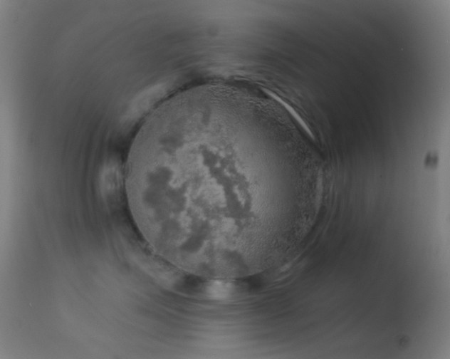 X0000114650623200910201510