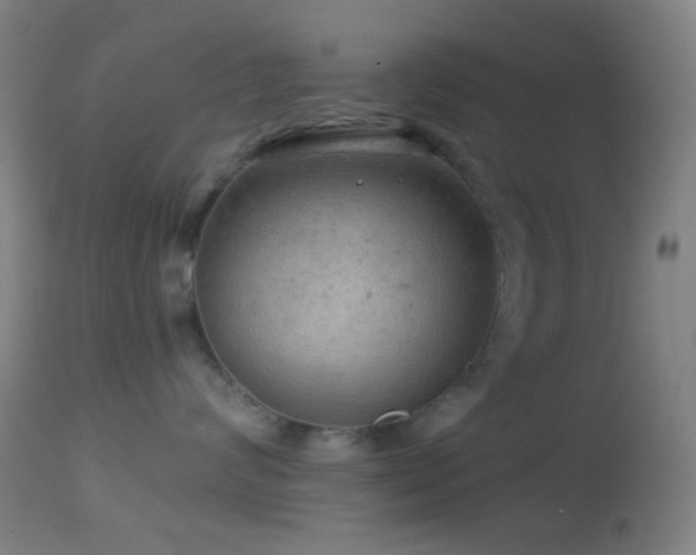 X0000114650624200910201510