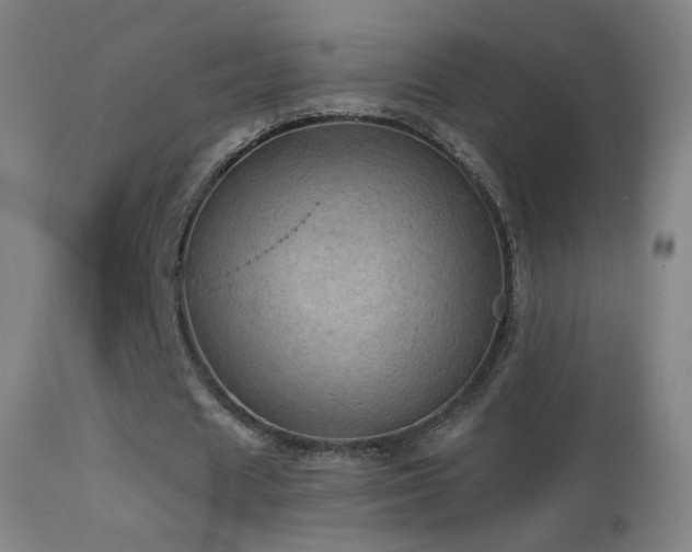 X0000114650625200910201509