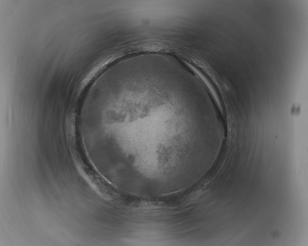 X0000114650626200910201509