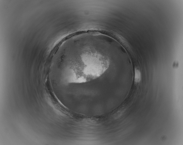 X0000114650627200910201509