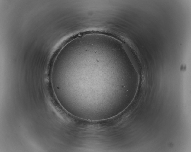 X0000114650628200910201509