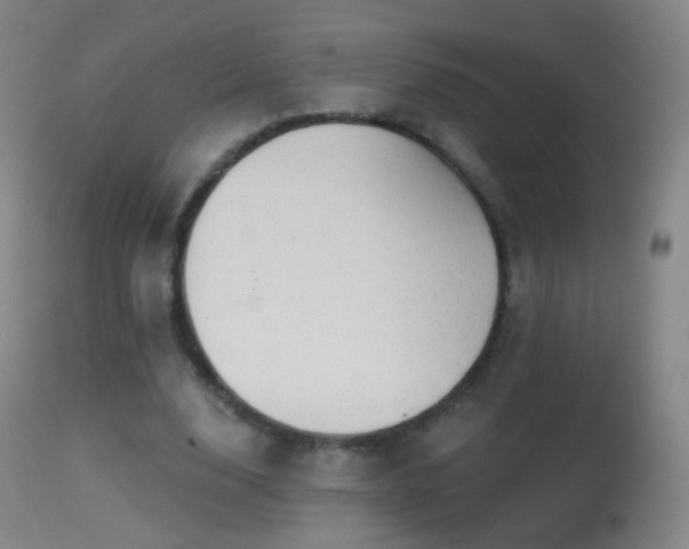 X0000114650632200910201509