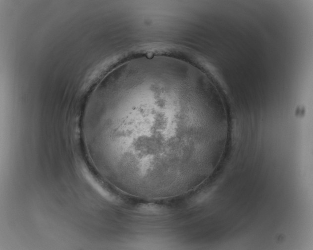 X0000114650633200910201509