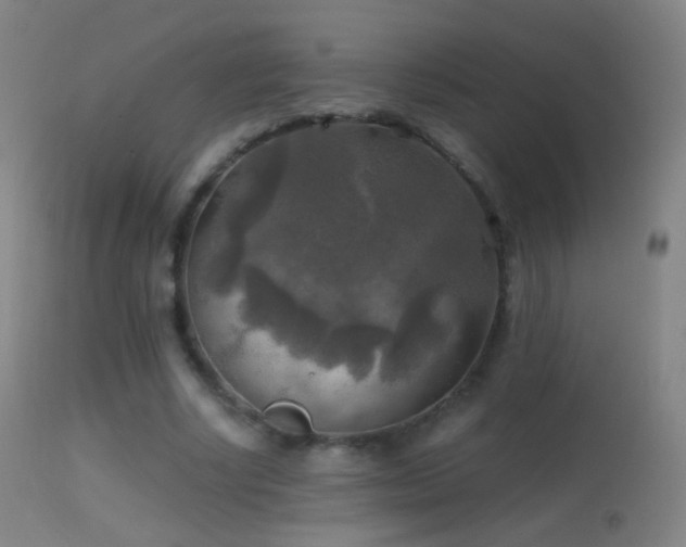 X0000114650634200910201509