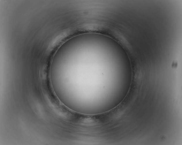 X0000114650635200910201509